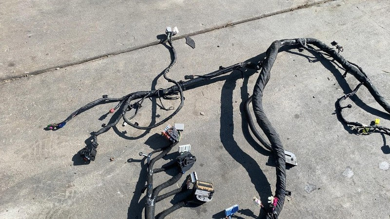 PT00876923-D ⭕ 2025 Rivian R1S Passenger Side Engine Wiring Harness Cable Wire Loom Left LH