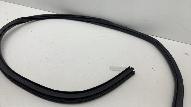LJ8BR253H10AD ⭕ 21-24 Mustang Mach-E Front Door Body Weatherstrip Rubber Seal LJ8B-R253H10-AD