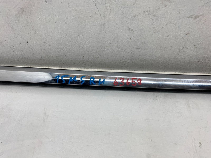 ⭕ 2012-2020 Tesla Model S MS Rear Right Door Exterior Mold Chrome Belt Molding