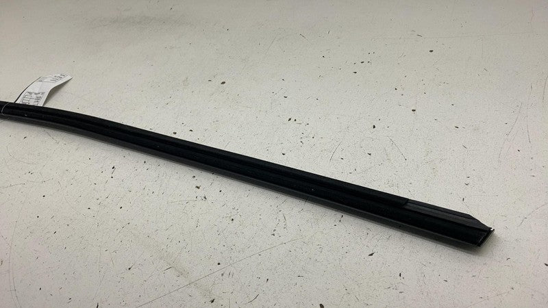 ⭕ 2024-2025 Tesla Model 3 Rear Right Side Door Window Seal Molding Bel
