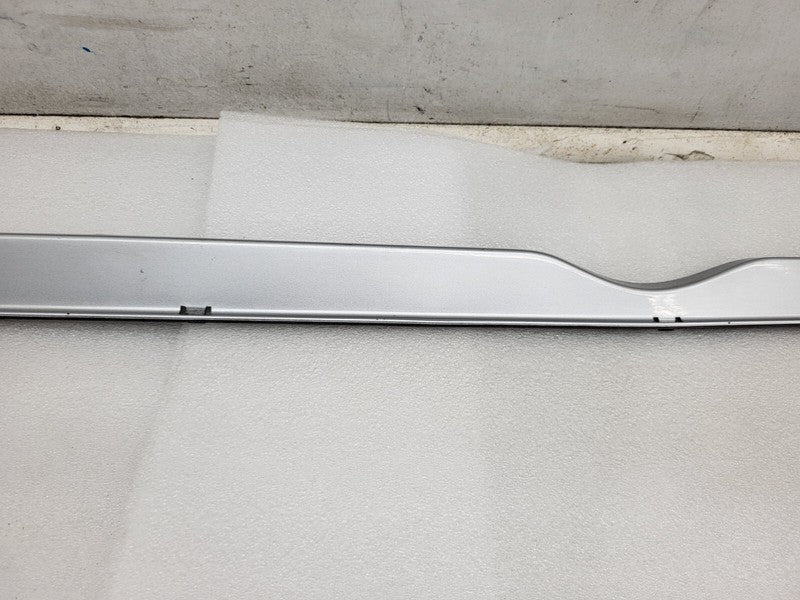 101221500F ⭕ 12-25 Model S Driver Side Rocker Panel Scuff Plate Molding Left 1012215-00-F