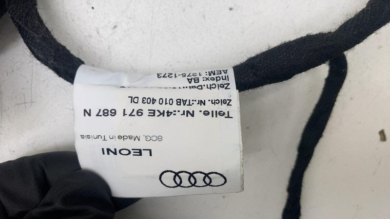 4KE971687N ⭕ 19-23 Audi E-Tron Rear Left Driver Side Door Wire Wiring Harness 4KE971687N