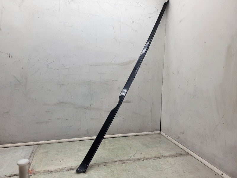 101221500F ⭕ 12-25 Model S Driver Side Rocker Panel Scuff Plate Molding Left 1012215-00-F