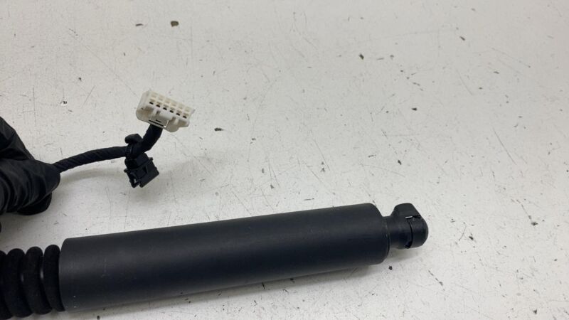 106344000C 2016-2023 Tesla Model X Rear Left or Right Secondary Falcon Door Lift Gas Strut