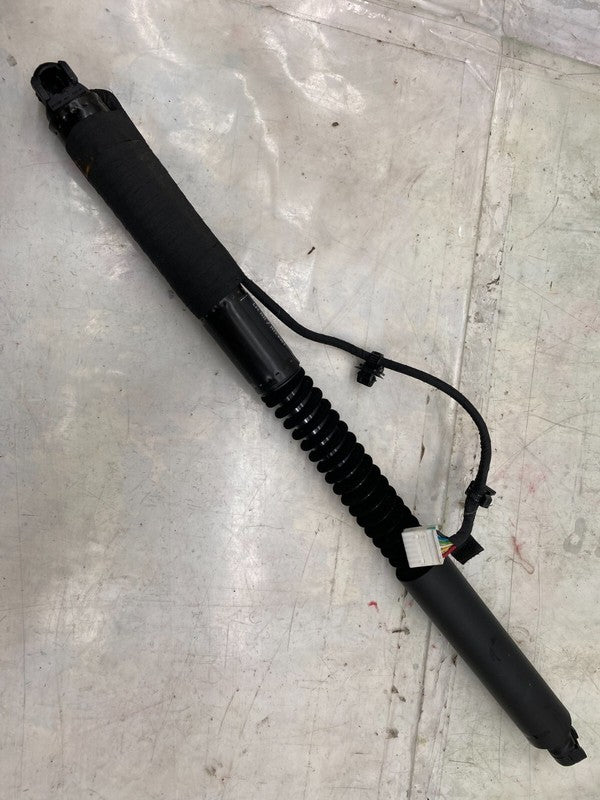 106344000D ⭕ 16-25 Model X MX Rear Left/Front Right Primary Falcon Door Strut 1063440-00-D