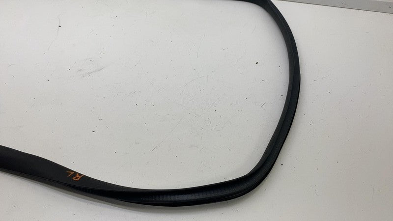 ⭕2020-2023 Tesla Model Y Rear Passenger Door Body Weatherstrip Rubber