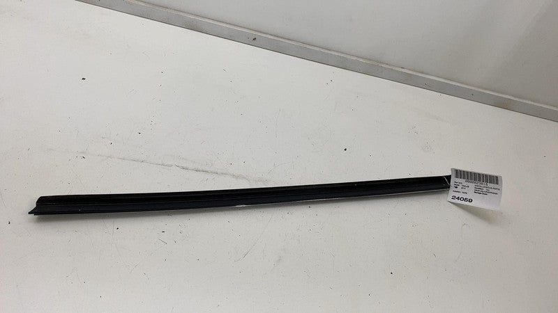 ⭕16-20 Tesla Model S Front Passenger Side Door Window Belt Molding Rig