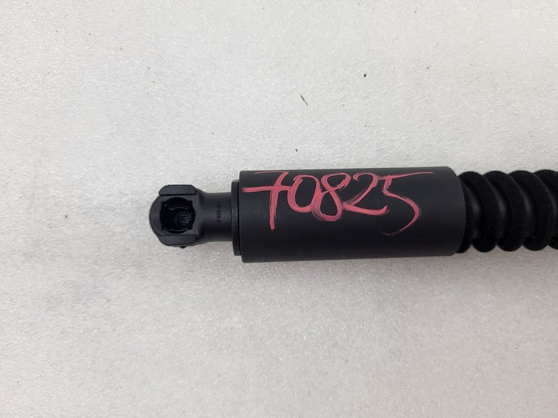106344100C ⭕16-25 Model X Rear Left/Right Secondary Falcon Door Lift Gas Strut 1063441-00-C