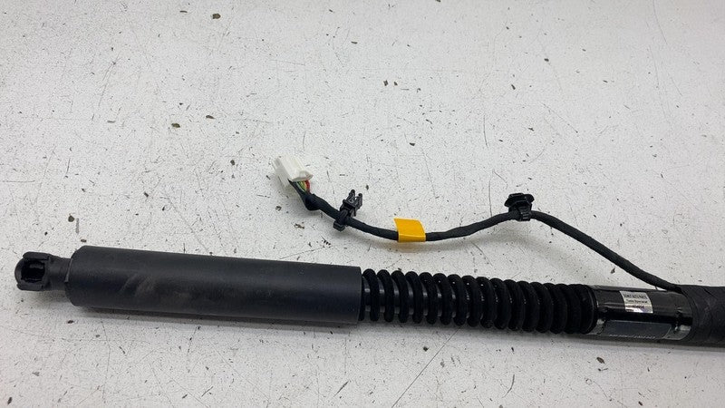 106344001F 16-23 Model X Front Left/Rear Right Primary Falcon Door Shock Strut 1063440-01-F