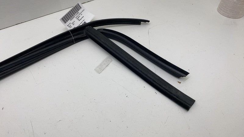 1484041-00-D ⭕ 2016-2024 Tesla Model X Rear Driver Side Door Window Seal Left LH 1484041-00-D