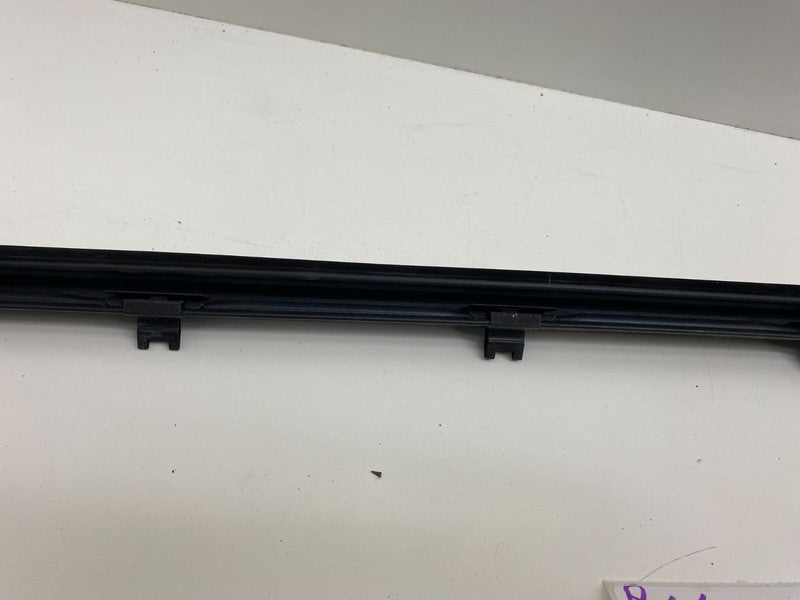 ⭕ 2012-2020 Tesla Model S MS Rear Left Door Window Inner Belt Weathers