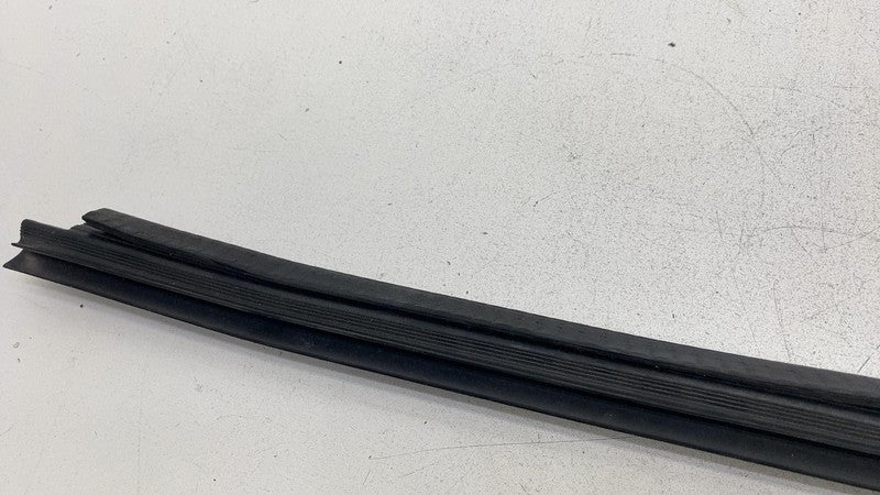 ⭕ 16-24 Tesla Model X Rear Driver Side Door Window Inner Belt Rubber S