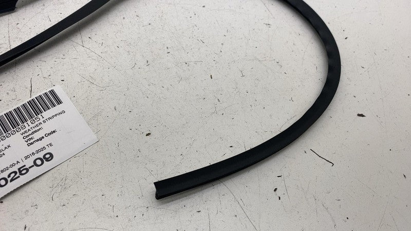 1521802-00-A ⭕ 2016-2025 Tesla Model X MX Left Side B Pillar Weatherstrip Seal 1521802-00-A