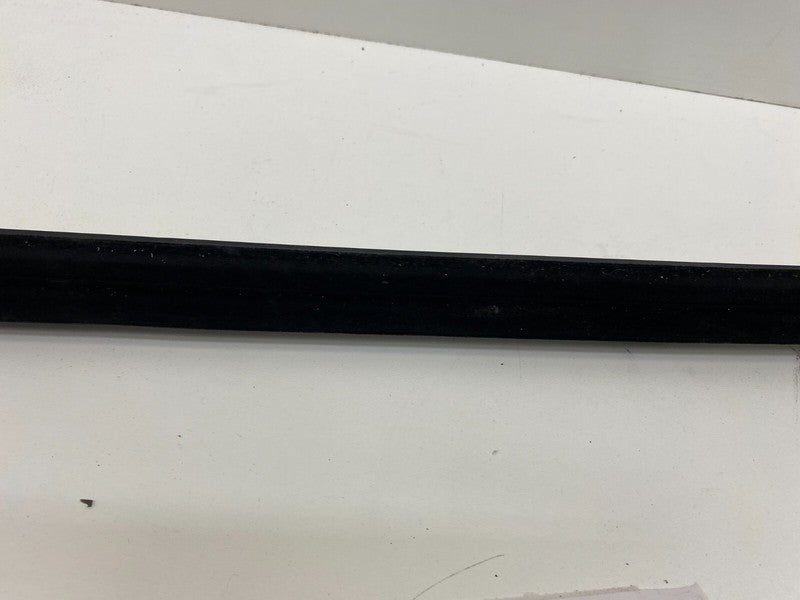 ⭕ 2012-2020 Tesla Model S MS Rear Left Door Window Inner Belt Weathers