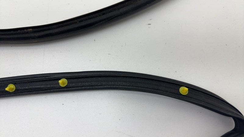 LJ8B-R20530 ⭕ 2021 2022 2023 2024 Ford Mustang Mach-E Front Door Weatherstrip Seal OEM