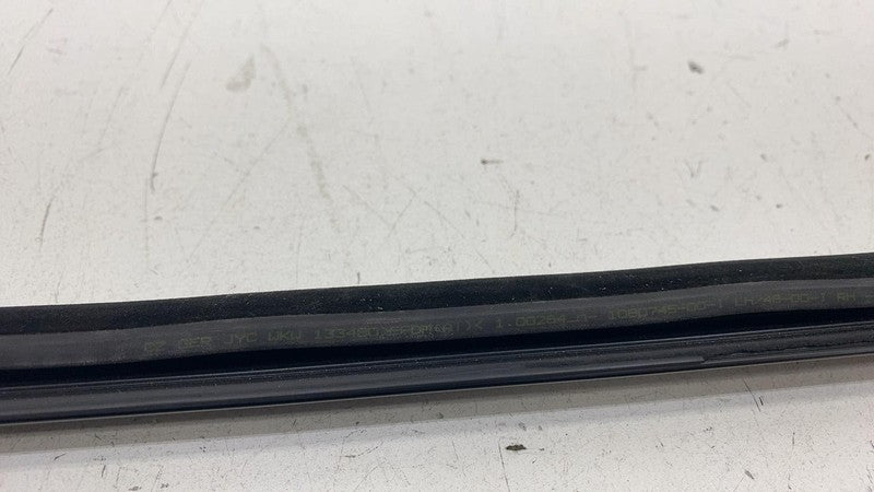 108074500I ⭕ 2021-2025 Tesla Model 3 Rear Right Door Window Outer Belt Molding 1080746-00-F