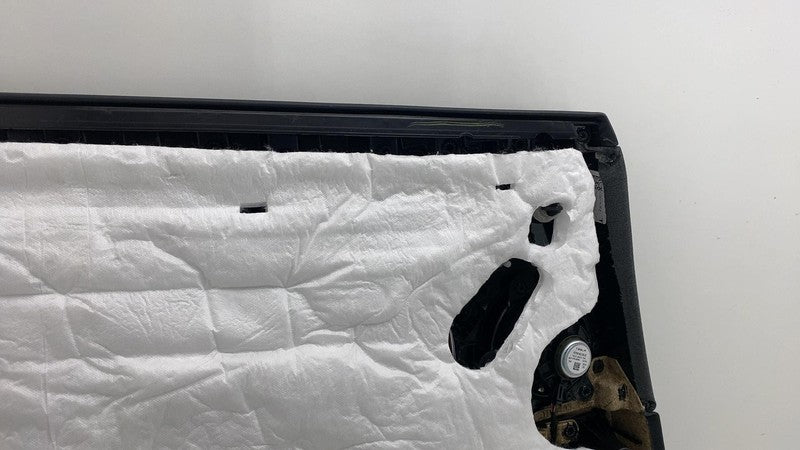 2024 2025 Tesla Model 3 Rear Passenger Side Highland Door Panel Trim C