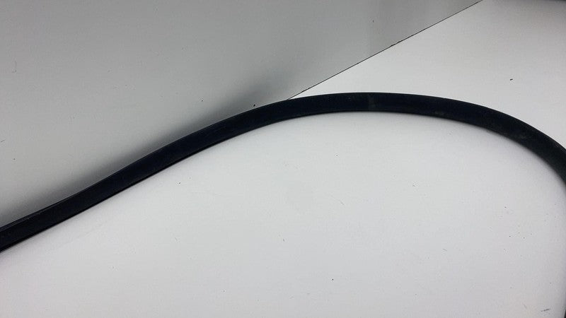 2020-2023 Tesla Model Y Rear Passenger Right Door Body Weatherstrip Rubber Seal