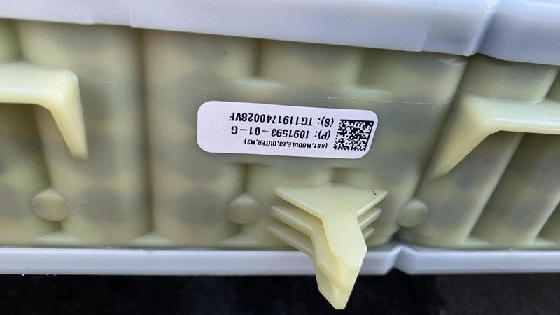 1091598 00 M ⭕ 2017-2020 Tesla Model 3 M3 High Voltage Battery Module Long Range 1091598-00-M