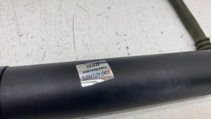 ⭕ 2020-2024 Tesla Model Y MY Rear Left Power Liftgate Shock Strut 1500