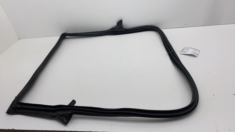 2017-2023 Tesla Model 3 Rear Driver Side Left Door Primary Weatherstrip Seal OEM