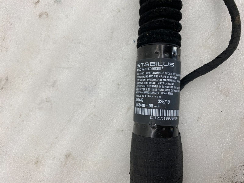 ⭕ 16-25 Model X MX Rear Left/Front Right Primary Falcon Door Strut 106