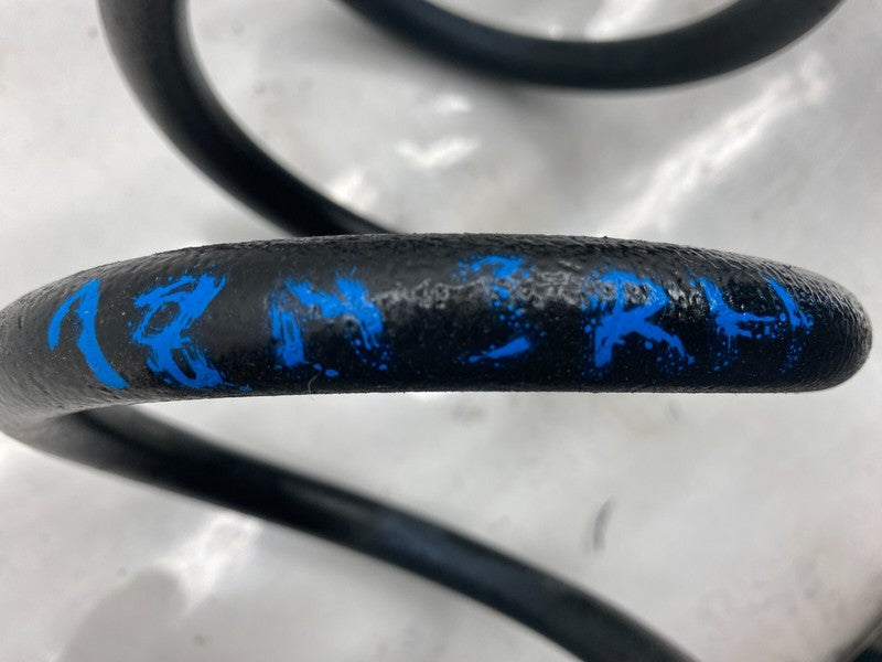 ⭕ 2017-2023 Tesla Model 3 M3 Rear Passenger Side Coil Spring Right Assembly RH