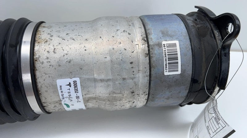 ⭕ 12-15 Model S Rear Left Air Suspension Spring Module Absorber 600635