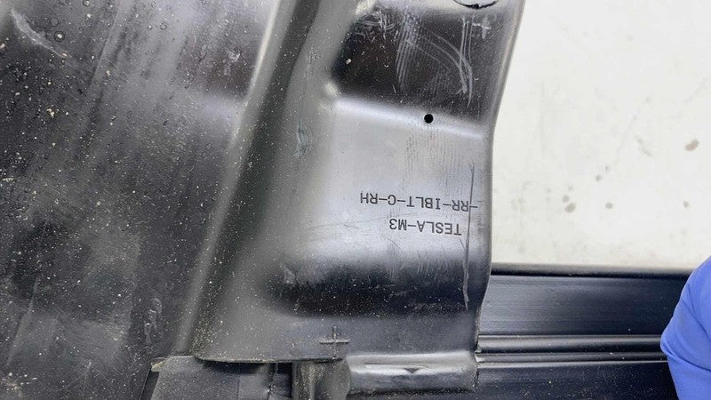 ⭕ 17-23 Model 3 Rear Right Door Window Inner Belt Weatherstrip Seal 10