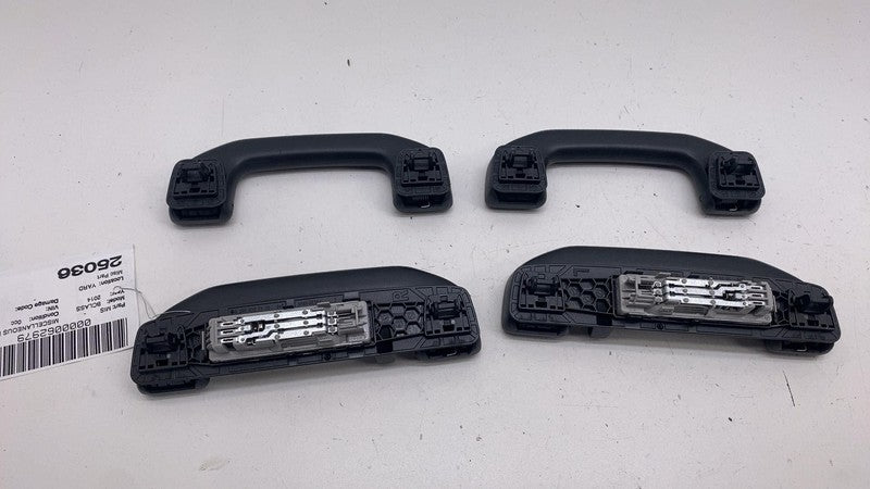 A0998150100 ⭕14-15 Mercedes-Benz B Electric Drive SET of Roof Grab Handle Light A0998150100