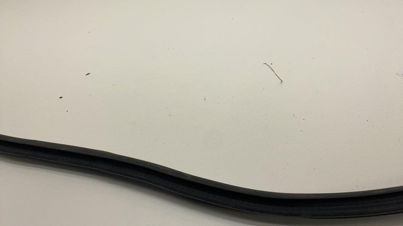 2020-2023 Tesla Model Y Rear Driver Side Door Body Weatherstrip Rubber