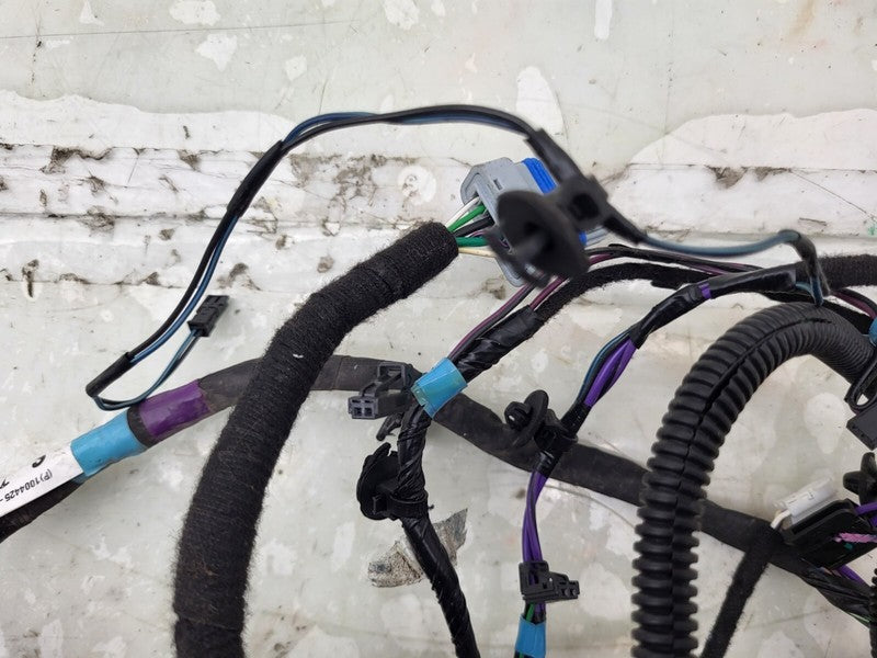 100442500P ⭕12-20 Tesla Model S Rear Driver Side Door Wiring Harness Wire Left 1004425-00-P