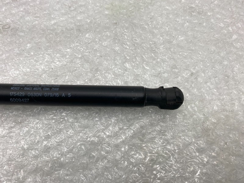 6009427 ⭕ 2012-2020 Tesla Model S Rear Right Tailgate Trunk Liftgate Gas Strut 6009427