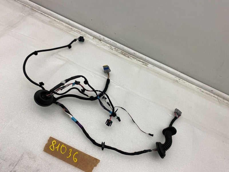 1004425 00 Q ⭕ 2016-2020 Tesla Model S Rear Left Door Wiring Harness Wire Loom 1004425-00-Q