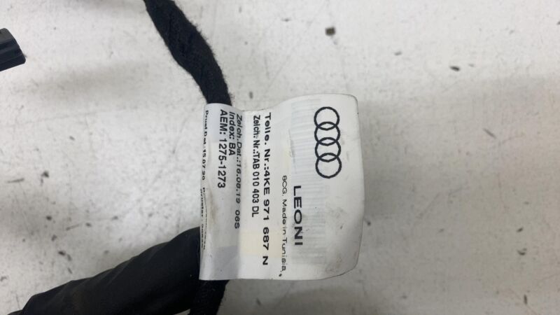 4KE 971 697 N ⭕2019-2023 Audi E-Tron Rear Left Driver Side Door Wire Wiring Harness 4KE971697N