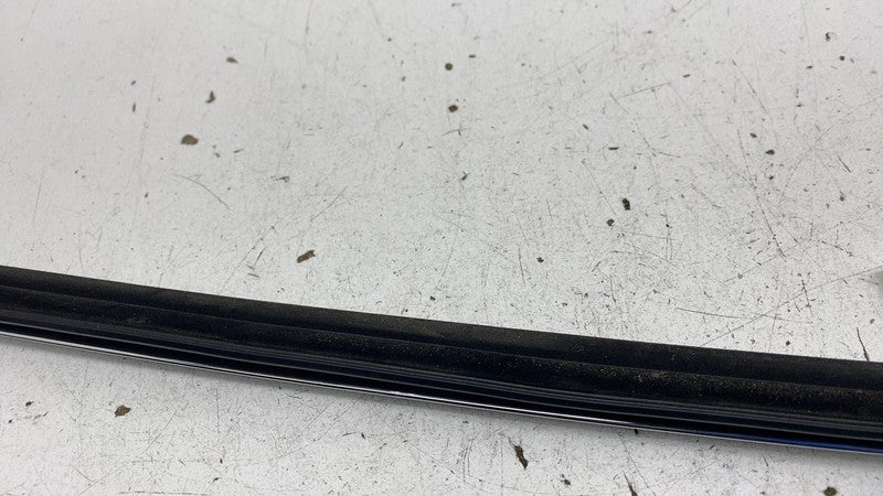 ⭕ 2012-2020 Tesla Model S Rear Driver Side Door Window Outer Belt Mold