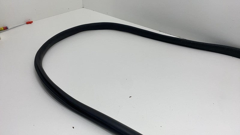 2020-2023 Tesla Model Y MY Front Driver Left Door Body Weatherstrip Rubber Seal