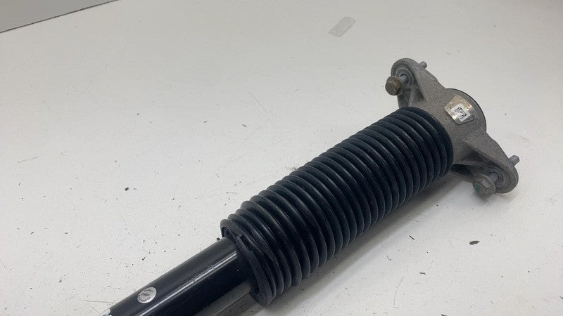 ⭕ 17-23 Model 3 Rear Left or Right Shock Strut Absorber Damper AWD 104