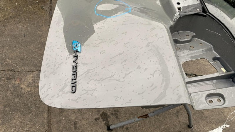 2021-2024 Chrysler Pacifica Trunk Tailgate Liftgate Decklid Shell Panel Gray PDN