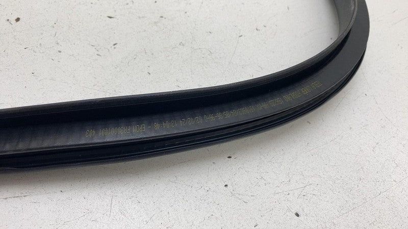191098500C ⭕ 24-25 Model 3 Rear Left Primary Body Weatherstrip Rubber Seal LH 1910985-00-C