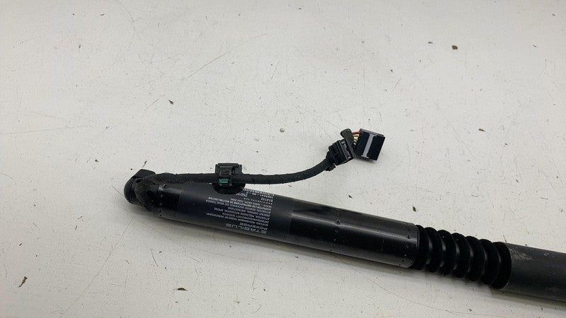 ⭕16-23 Model X Rear Left/Right Secondary Falcon Door Liftgate Strut 10