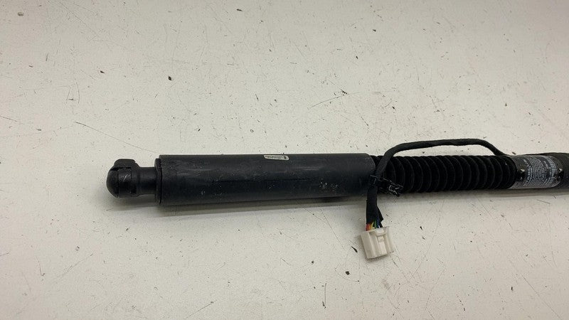⭕ 2016-2023 Tesla Model X Rear Left / Front Right Primary Door Lift Gas Strut