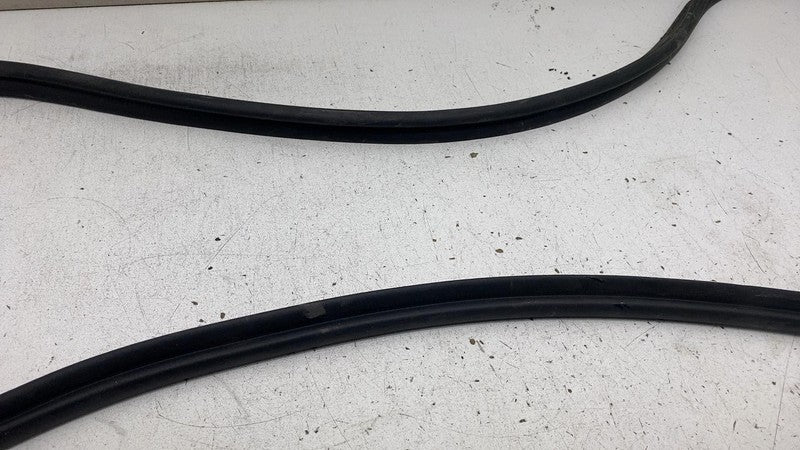 2022 2023 2024 Kia EV6 Rear Door Body Weatherstrip Rubber Seal Assembly OEM