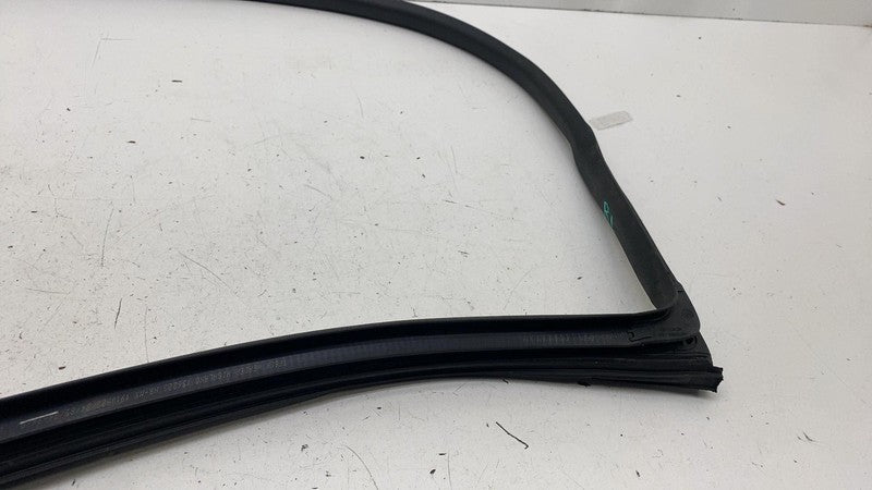 191098500C ⭕ 24-25 Tesla Model 3 Rear Side Left Door Primary Weatherstrip Seal 1910985-00-C