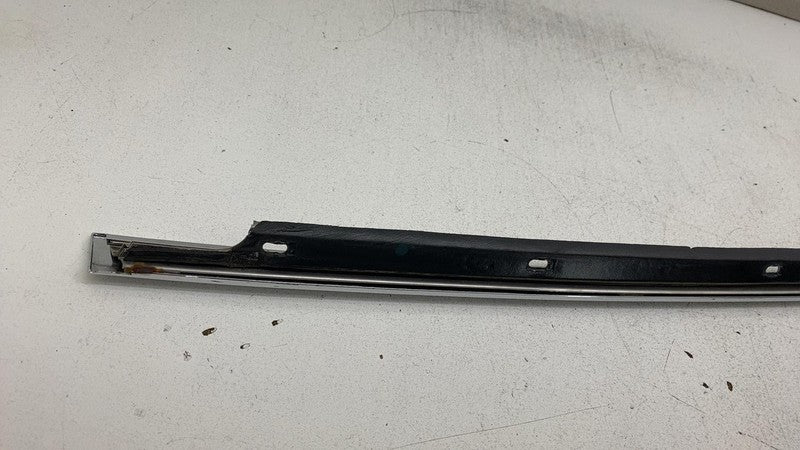 ⭕ 2016-2020 Tesla Model X MX Rear Driver Side Door Chrome Weatherstrip