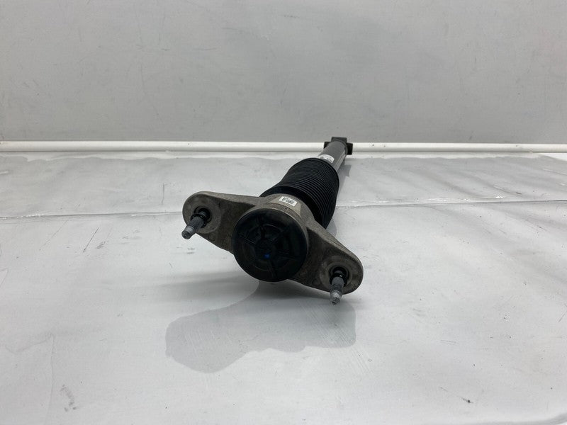 ⭕ 18-23 Model 3 Rear Left or Right Shock Strut Absorber Damper RWD 104