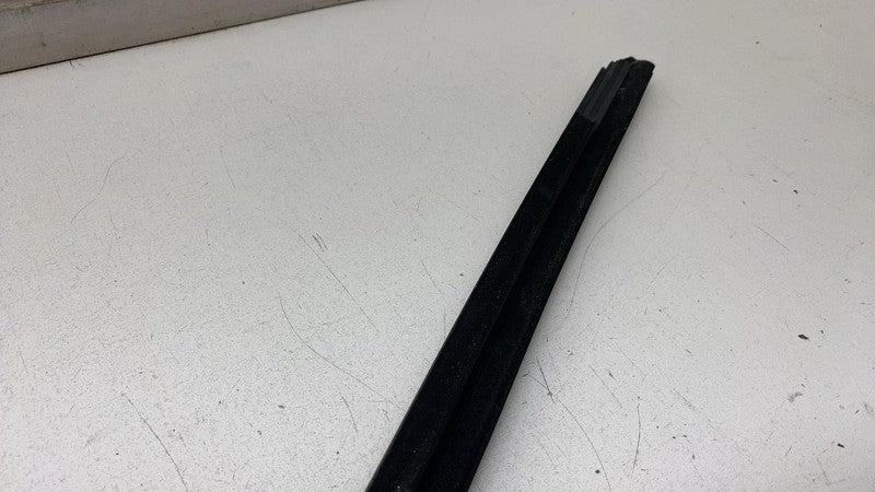 156223 2020-2024 Tesla Model Y MY Rear Driver Door Window Outer Belt Seal Molding Left
