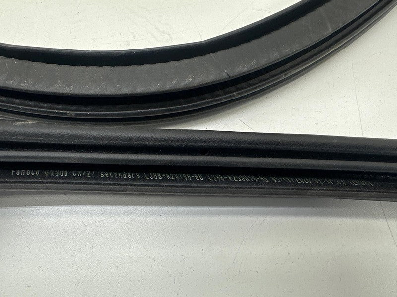 LJ8BR253H10AD ⭕ 21-24 Mustang Mach-E Front Door Body Weatherstrip Rubber Seal LJ8B-R253H10-AD