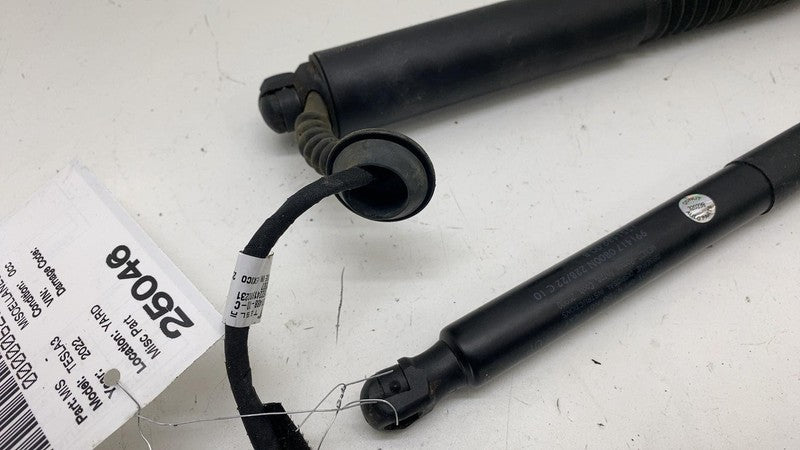 155148900B ⭕ 2017-2023 Model 3 M3 PAIR of Rear Trunk Lid Tailgate Shock Struts 1551489-00-B