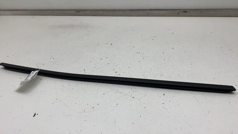 ⭕ 2024-2025 Tesla Model 3 Rear Right Side Door Window Seal Molding Bel